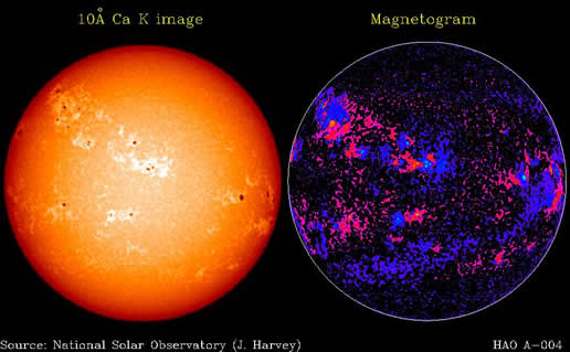 Solar Surface/Magnetic Field Comparison Image
