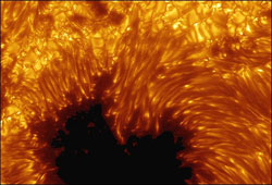 Closeup of a sunspot taken with the Swedish Solar Telescope in La Palma, the Cannary Islands.