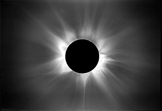 Eclipse 1980 - solar max again (Credit: High Altitude Observatory/ National Center for Atmospheric Research)