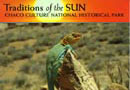 Sun Earth Day Postcard