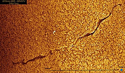 A prominence can appear dark against the brighter solar surface and is then called a filament.
