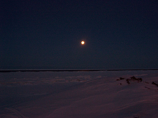 'I walked down the road to the Arctic  Sea, and could see the full moon still shining away at 10am. When I looked up I was thrilled to see Polaris, the North Star, directly above me!' Dorian Janney