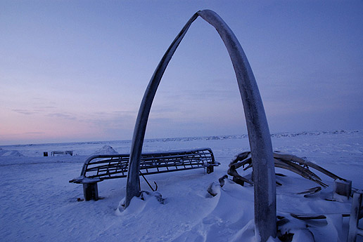 This arch is made from the lower jaw bones of a large sized bowhead whale. It was erected in the 1980s by Charles D. Brower's sons. Today it serves as a tourist attraction where visitors from all over the world pose to have their pictures taken by the Chuckhi Sea. To the right and the left of the whale bone arches are the frames of 2 umiaks. These wooden frames are covered with the hides of bearded seal and become the principal method of transportation during spring whaling.