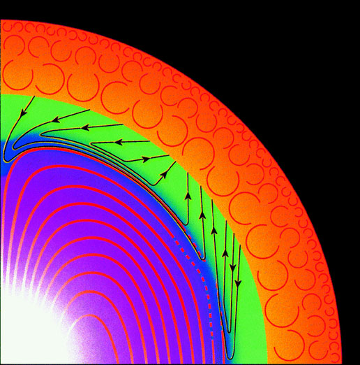 FIGURE 5. Schematic representation of  a magnetic field in the Radiative Zone (red lines); the shearing of part of this field in the Tachocline (green regio nwith black lines) according to one theory of solar magnetism. (Courtesy Gough and McIntyre)
