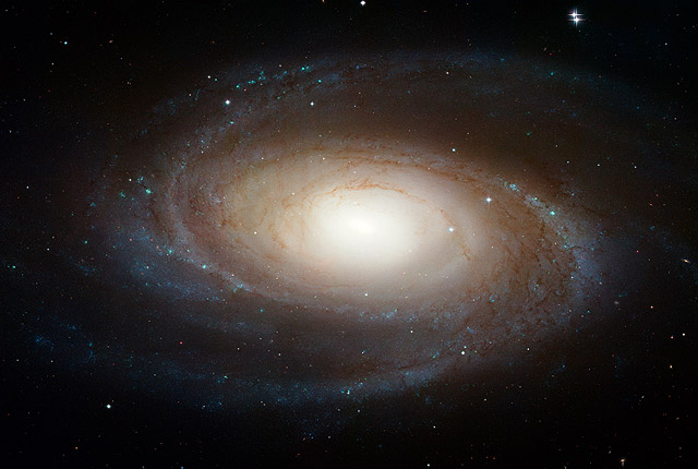 The sharpest image ever taken of the large grand design spiral galaxy M81 is being released today at the American Astronomical Society Meeting in Honolulu, Hawaii. A spiral-shaped system of stars, dust, and gas clouds, the galaxy's arms wind all the way down into the nucleus. Though the galaxy is located 11.6 million light-years away, the Hubble Space Telescope's view is so sharp that it can resolve individual stars, along with open star clusters, globular star clusters, and even glowing regions of fluorescent gas. The Hubble data was taken with the Advanced Camera for Surveys in 2004 through 2006. This color composite was assembled from images taken in blue, visible, and infrared light.