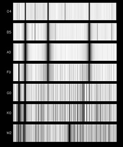A spectral sequence for stars from hot, O-types to cool M-types. Note the change in the number and intensity of the atomic lines as the star temperature decreases. (Courtesy Helmut Abt, NOAO)