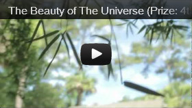 The Beauty of the Universe (Prize: 4th Place)