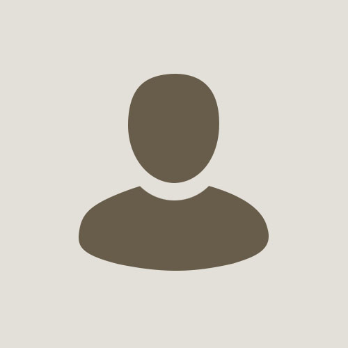 MadeleineAnastopulos profile picture