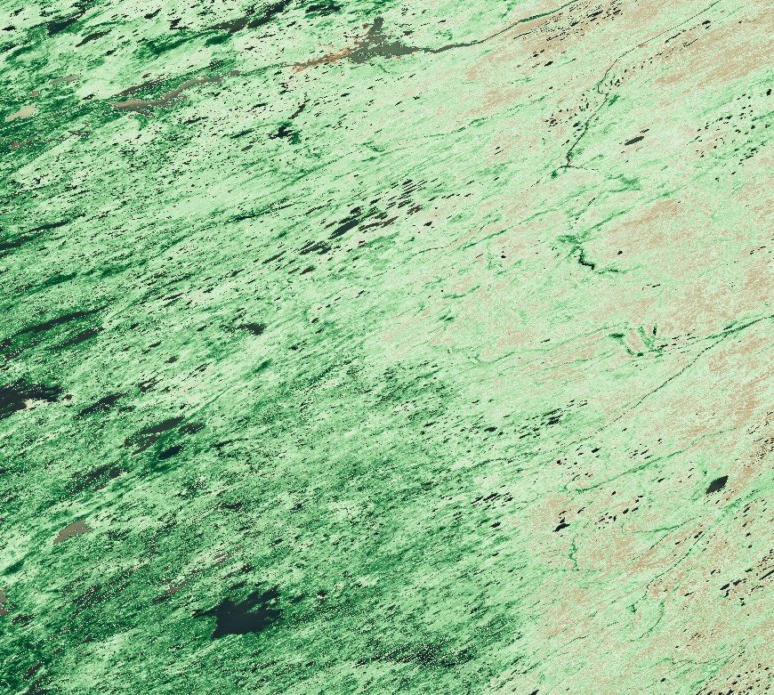 Representation of Vegetated Continuous Fields 