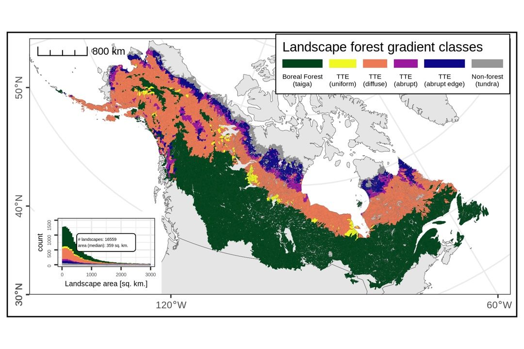 Diagram of boreal shift