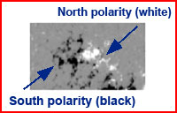 North polarity is white, South polarity is black